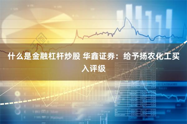 什么是金融杠杆炒股 华鑫证券：给予扬农化工买入评级