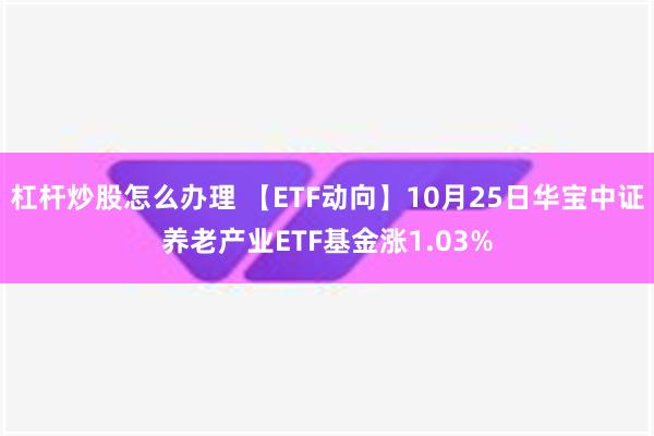 杠杆炒股怎么办理 【ETF动向】10月25日华宝中证养老产业ETF基金涨1.03%