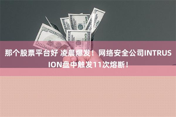 那个股票平台好 凌晨爆发！网络安全公司INTRUSION盘中触发11次熔断！