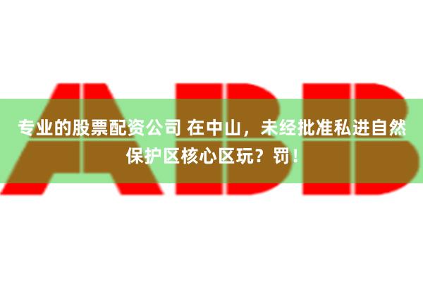 专业的股票配资公司 在中山，未经批准私进自然保护区核心区玩？罚！