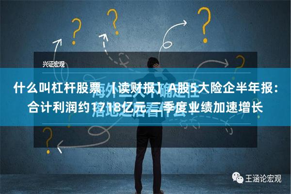 什么叫杠杆股票 【读财报】A股5大险企半年报：合计利润约1718亿元 二季度业绩加速增长