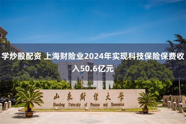 学炒股配资 上海财险业2024年实现科技保险保费收入50.6亿元